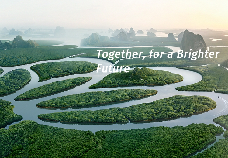 细腻化学 绿色生涯